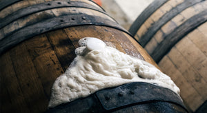 Beer for Noobs: WTF are Yeasts?
