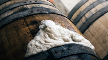 Beer for Noobs: WTF are Yeasts?