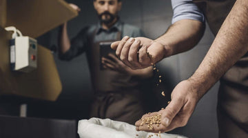 Beer for Noobs: WTF is Malt?